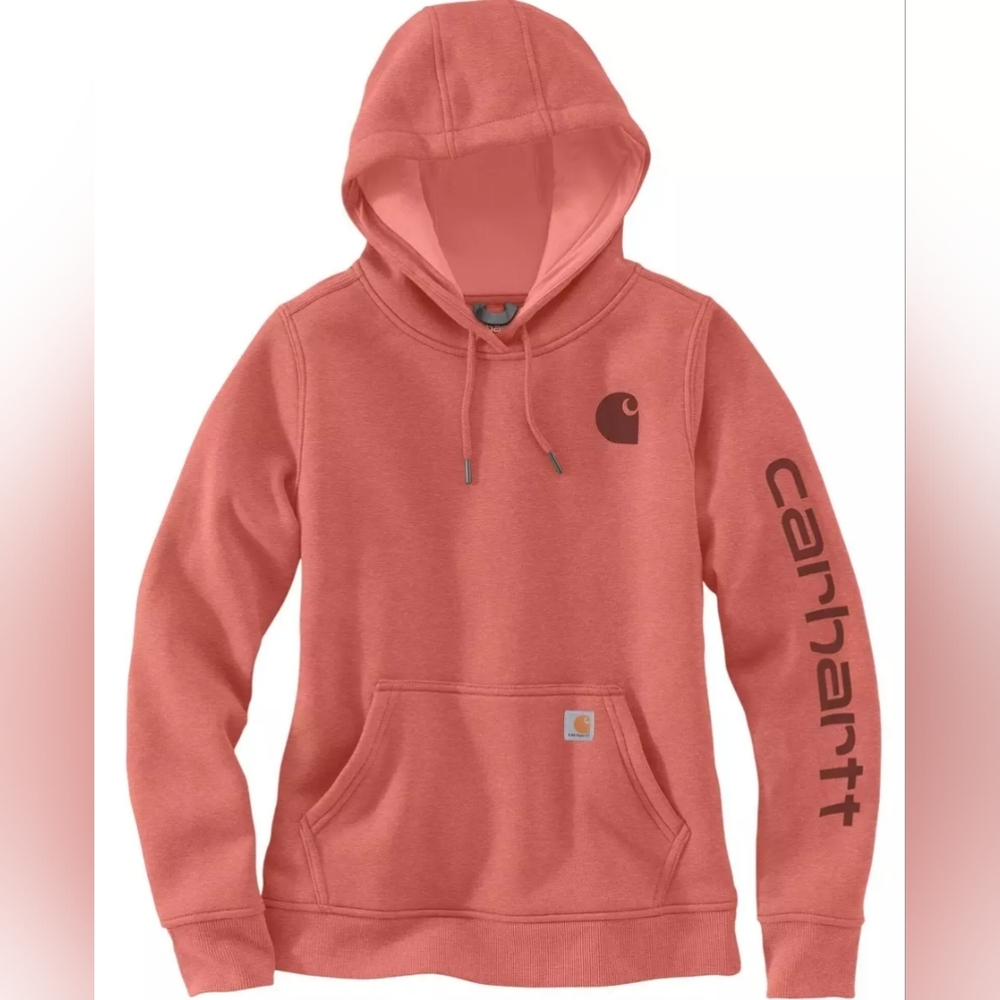 Carhartt Clarksburg Graphic Sleeve Logo Hoodie Size L NWT MSRP $59.99